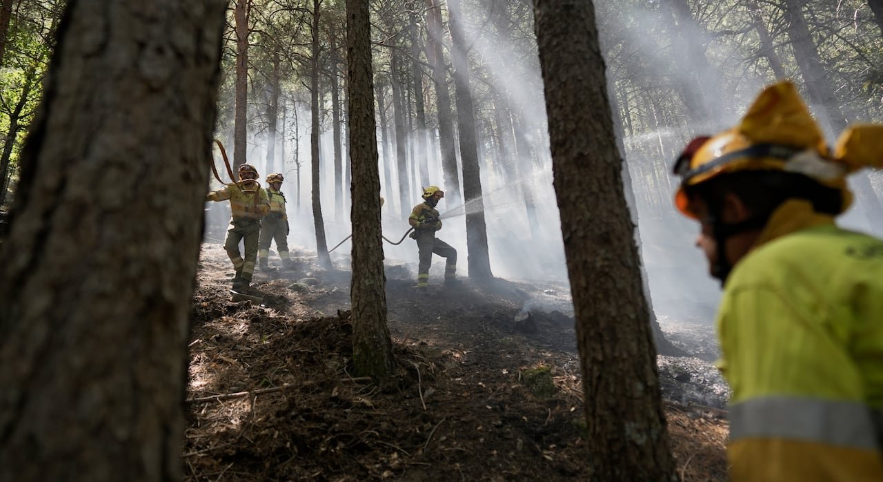 Firefighters spray water from hoses in a forest. Smoke surrounds them.