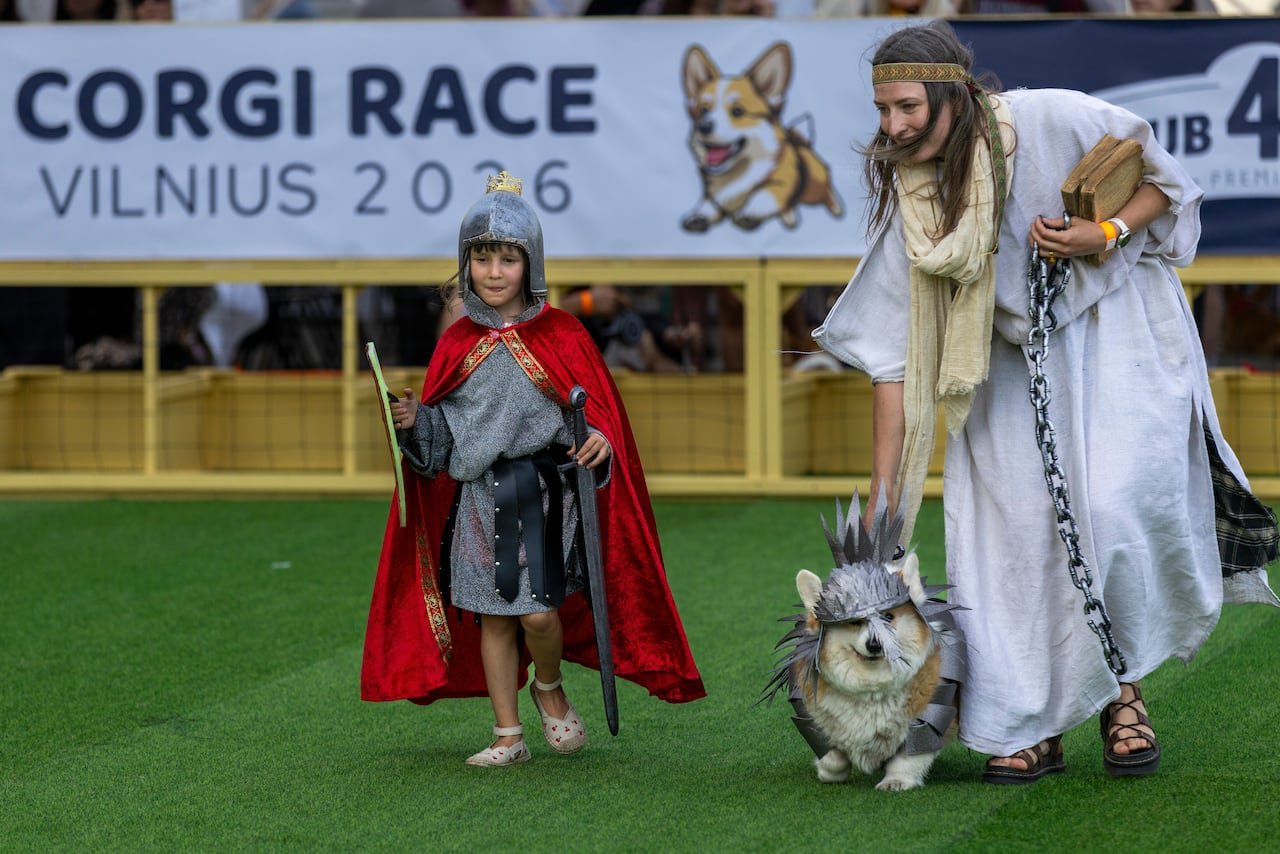 default-264 A boy and woman in costumes walk a corgi, also in a costume.